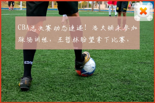 CBA总决赛动态速递！洛夫顿未参加踩场训练，王哲林盼望拿下比赛，孙铭徽盼触底反弹